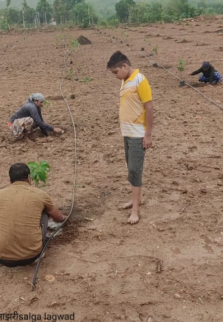 तंत्रज्ञान आणि नाविन्य